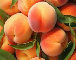 foodiesfeed.com_peaches-min